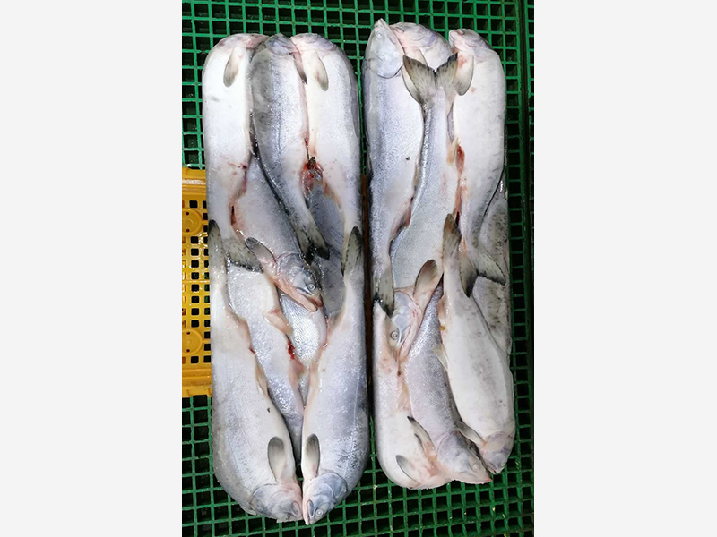 海鮮