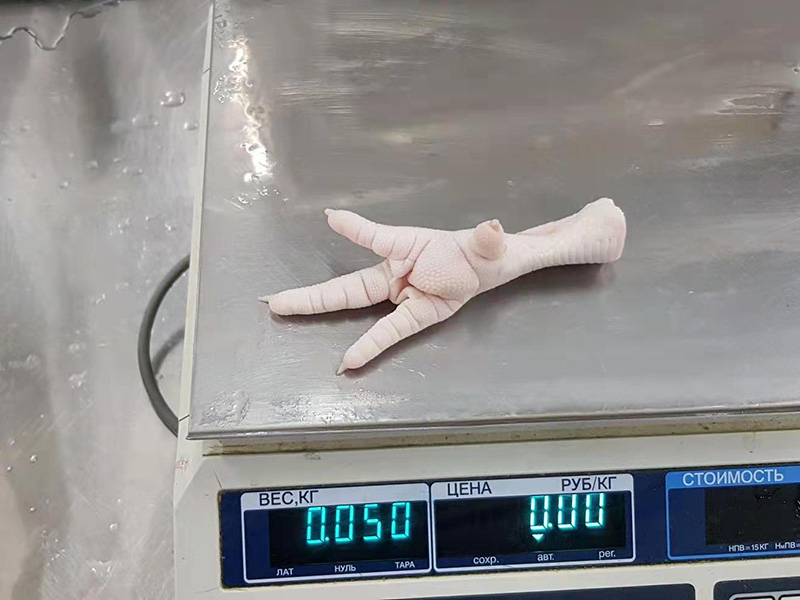 雞爪