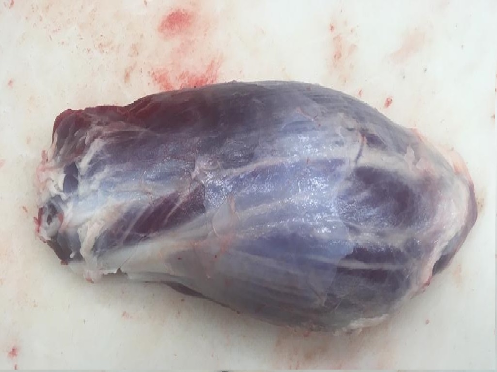 無(wú)骨前腱（金錢(qián)腱）